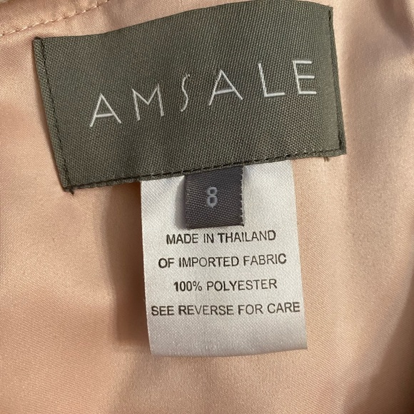 Amsale Bridesmaid’s soft tulle Dress, size 8 - Picture 11 of 13